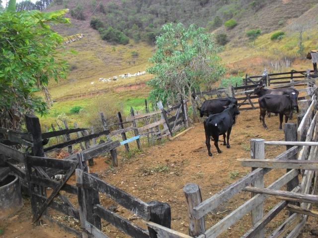 Fazenda Muito Boa na Região Veja a Descrição - Foto 17