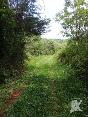 Chácara - venda, 176.055 m² por r$ 1.500.000 - botiatuva - - campo largo - pr - Foto 16