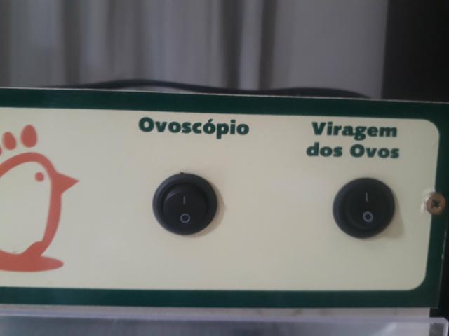 Chocadeira 120 ovos - Foto 4