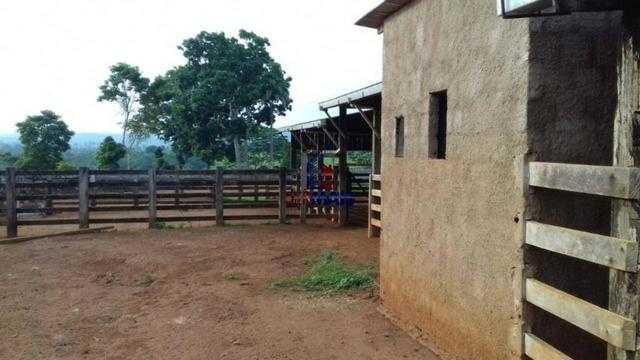 Fazenda à venda, por R$ 40.000.000 - Zona Rural - Rurópolis/Pará - Foto 15