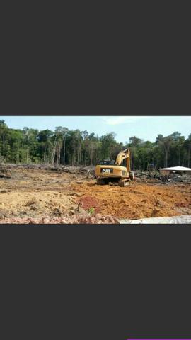 Lote no km 32 da estrada de Balbina */ *