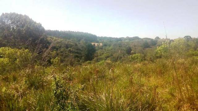 Terreno para Venda, 20.000,00 m² São Bento do Sul / SC, bairro Oxford
