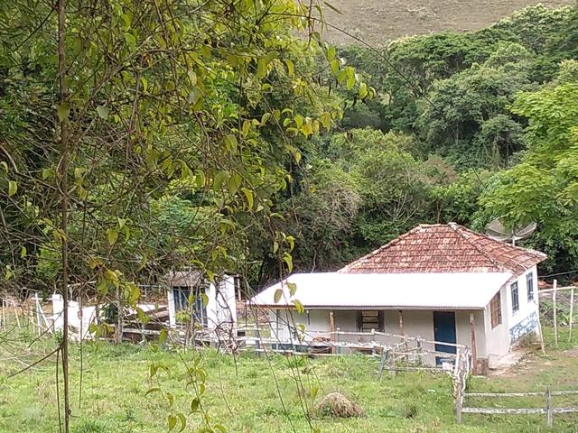 Sítio em Carvalhos Mg - Foto 3