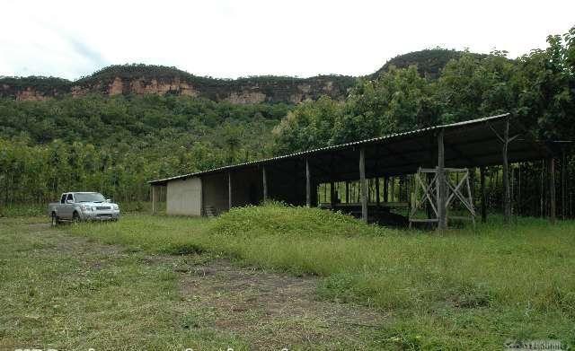 Fazenda serrana, vista para Cachoeira é muita água - Foto 3