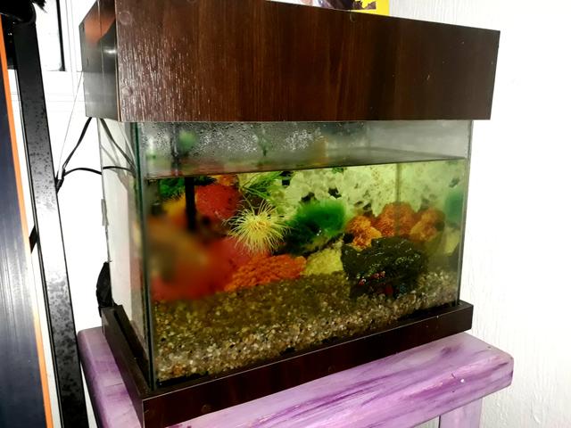 Aquário 100 Litros completo