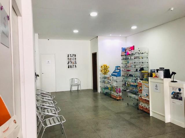 Pet Shop e Clinica Veterinária - Foto 8