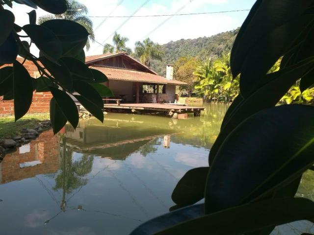 Sítio tifa bom Jesus reflorestamento - Foto 5