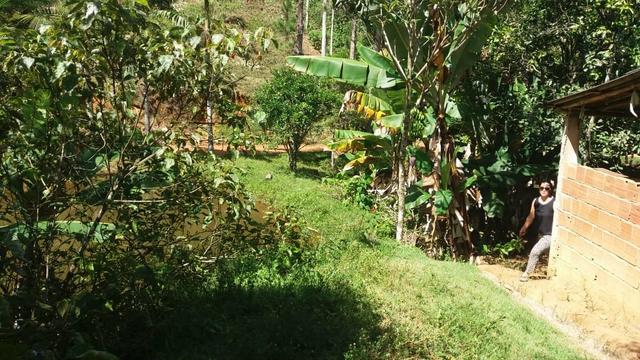 Linda área em Viana 5.000m2 - Foto 10
