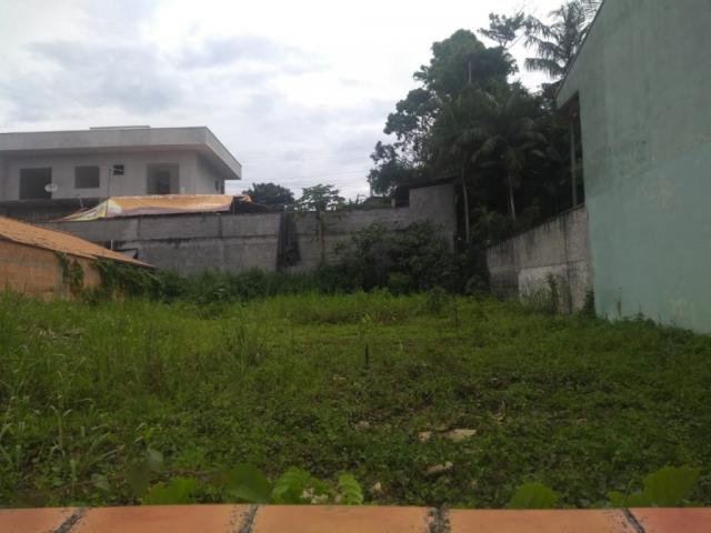 Terreno para alugar com 0 dormitórios em Joao costa, Joinville cod:08769.001 - Foto 2
