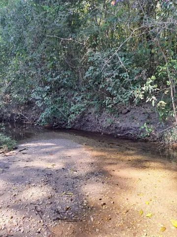 Fazenda Goiás área pra Reserva - Foto 4