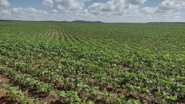 FAZENDA COM 800HEC PRA IRRIGAÇÃO, SOLO VERMELHO!! - Foto 4