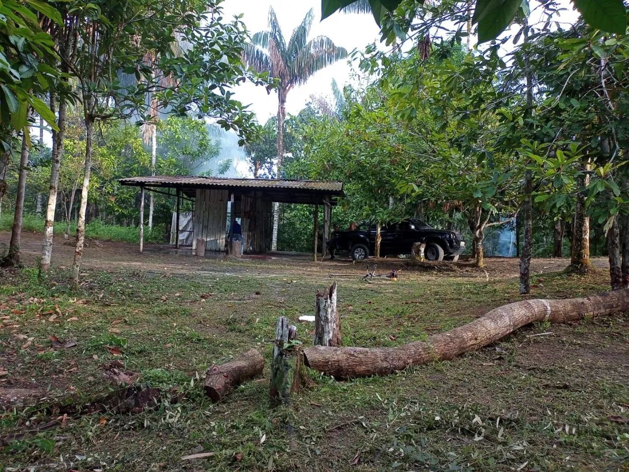 Sítio no Brasileirinho - Terrenos, sítios e fazendas - Novo Aleixo, Manaus  1317651055 | OLX