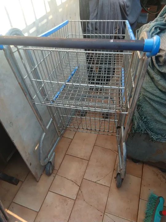 2 Carrinho de supermercado 2 andares - Foto 3