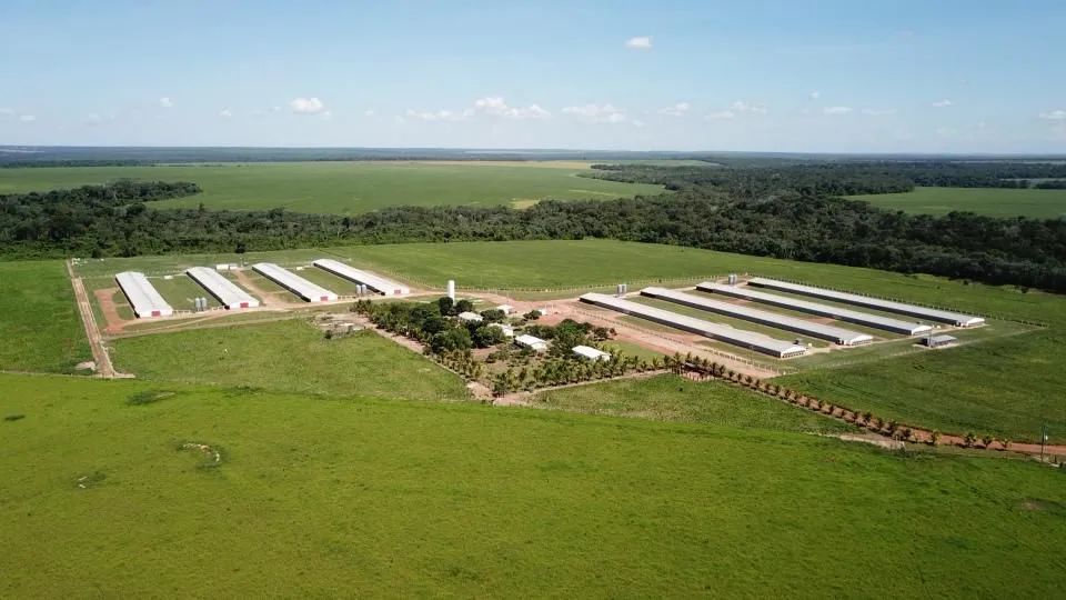 Graja de frango em Lucas do rio verde MT. 90 hect. 8 barracões 15 milhões - Foto 3