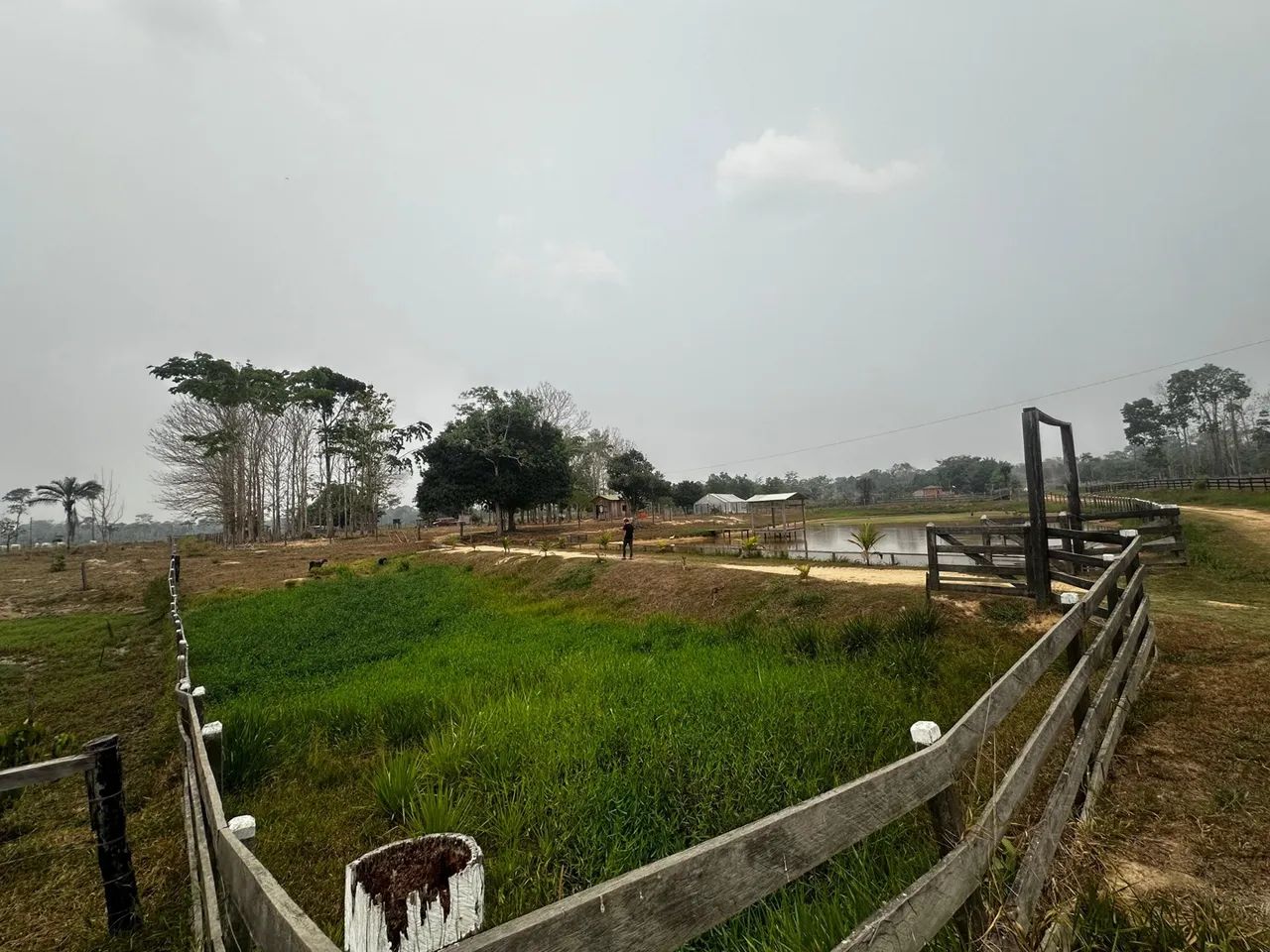  Vendo uma colônia de 15 hectares, no ramal da alcobras no km15 