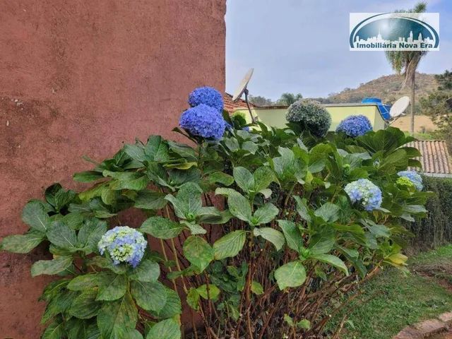 Chácara com 2 dormitórios à venda, 6050 m² por R$ 955.000,00 - Mombuca - Itatiba/SP - Foto 9