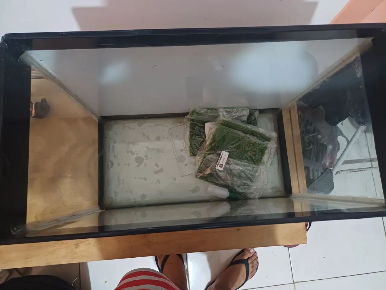 Aquário de vidro 55 litros