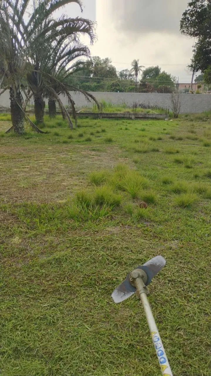 Vendo Mini Sítio em Seropédica - (Campo  Lindo) SOMENTE VENDA - Foto 10