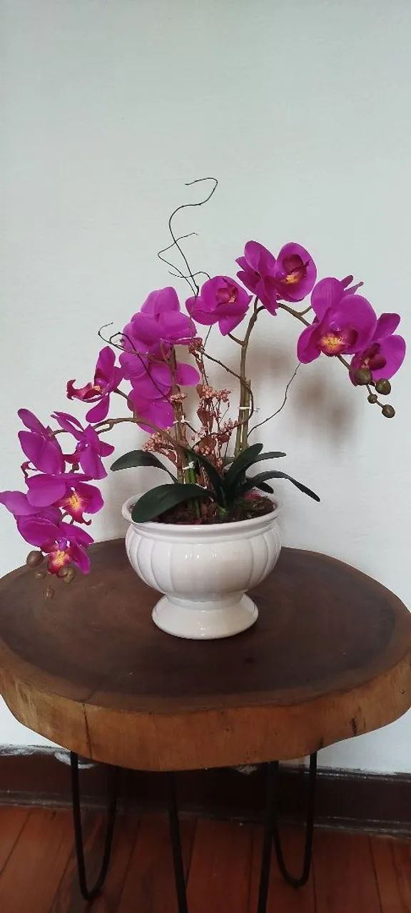 Arranjos permanentes lindos ótimo preço 
