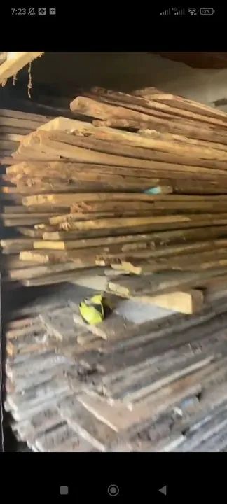 Assoalho peroba rosa