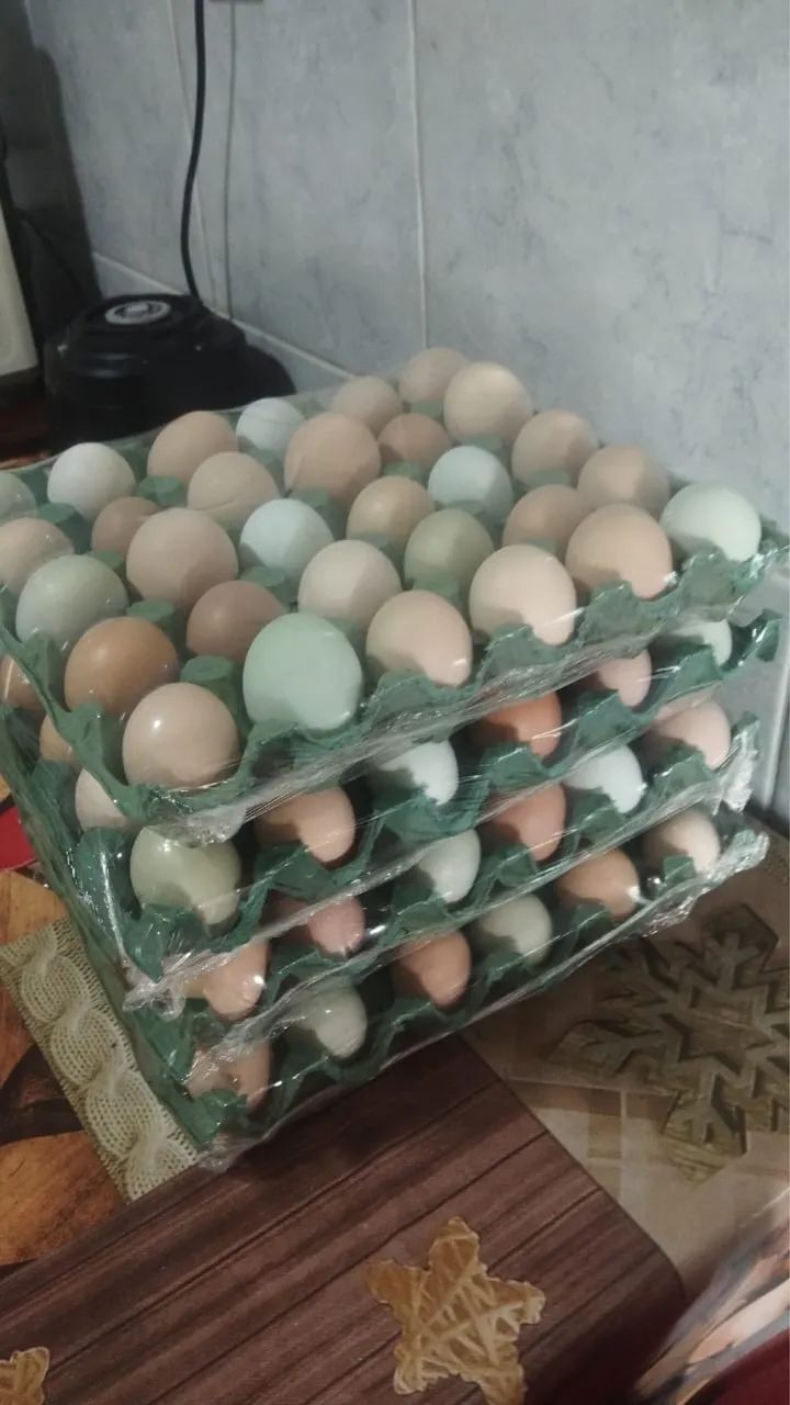 Ovos Caipira  - Foto 2