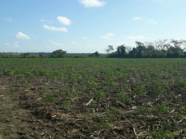 Ótima Fazenda em monte alegre com 20 hectares com o rio Trairi - Foto 5