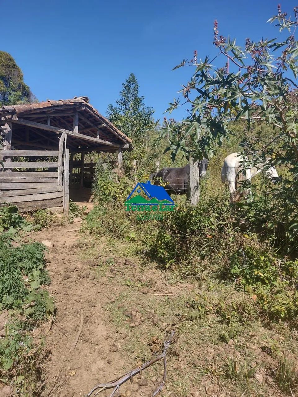 Sítio à venda em Franceses, Carvalhos, MG - Foto 5