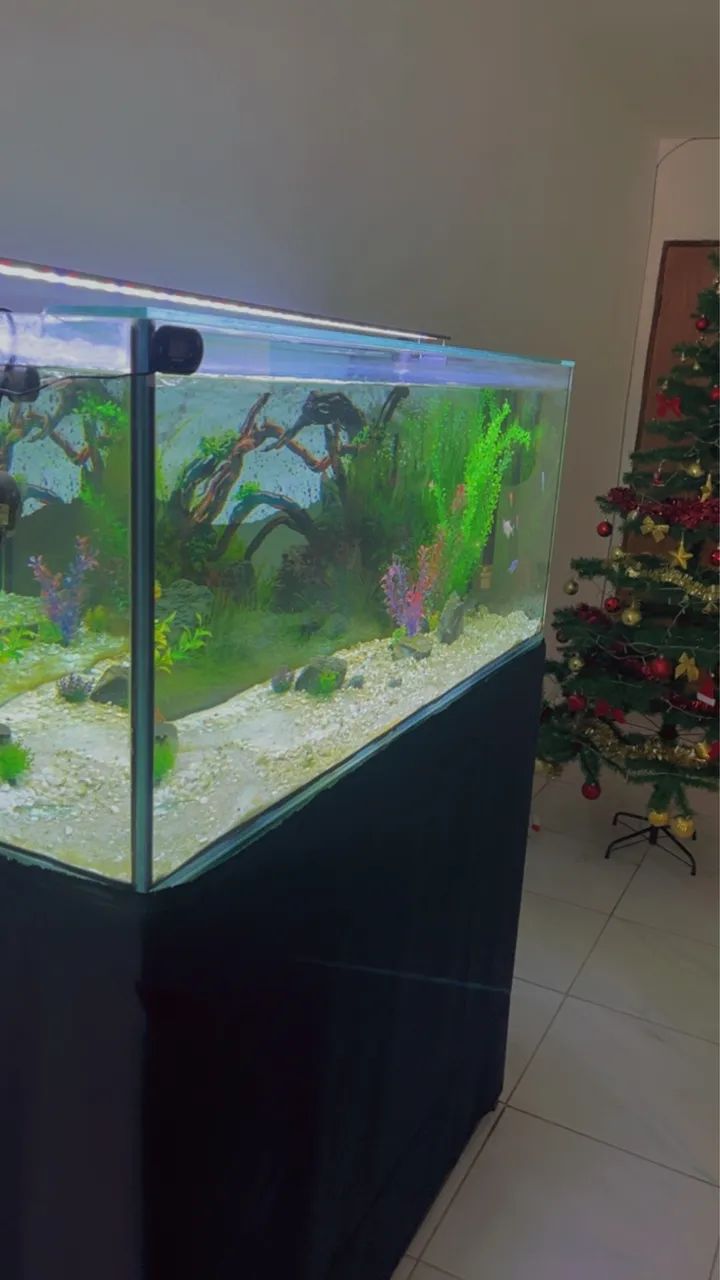 Aquário com tudo  - Foto 5