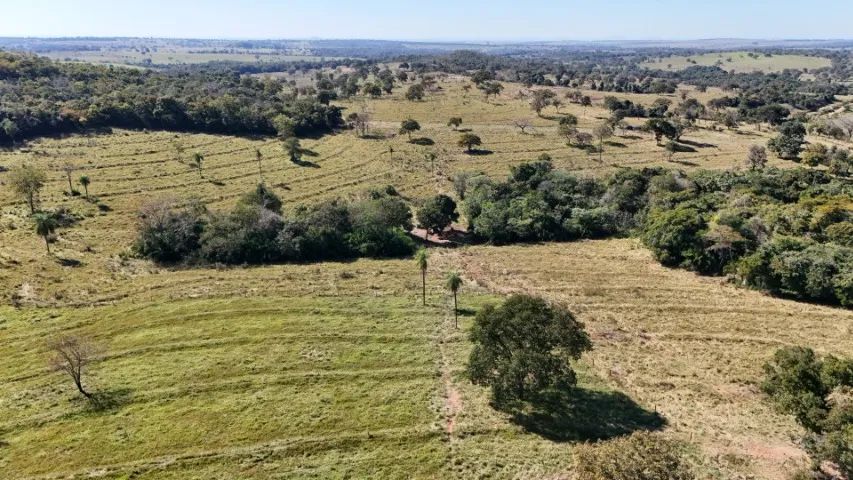 Fazenda de 204 Hectares São Gabriel do Oeste! - Foto 5