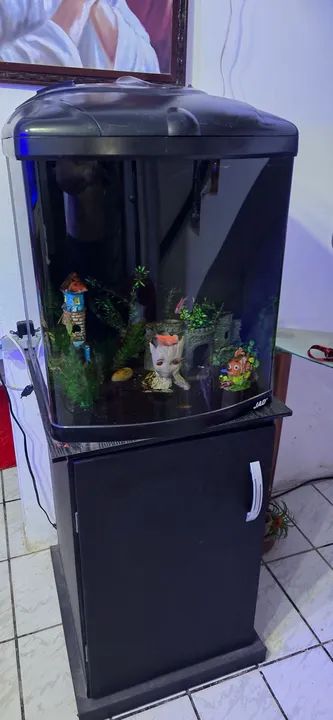 Aquário boyu - Foto 6