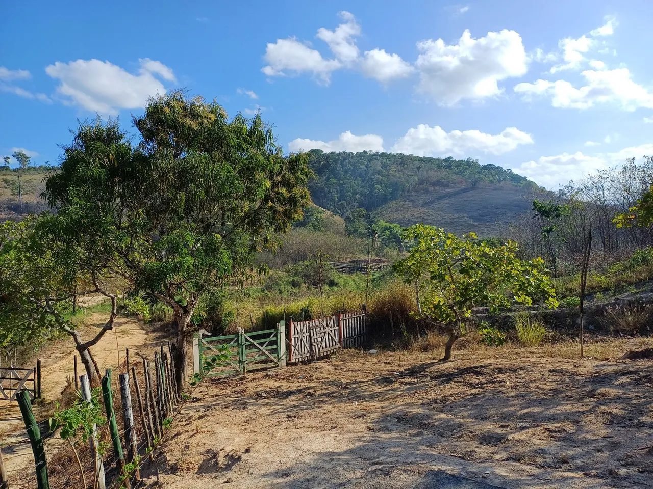 Fazenda 9 tarefas com CASA