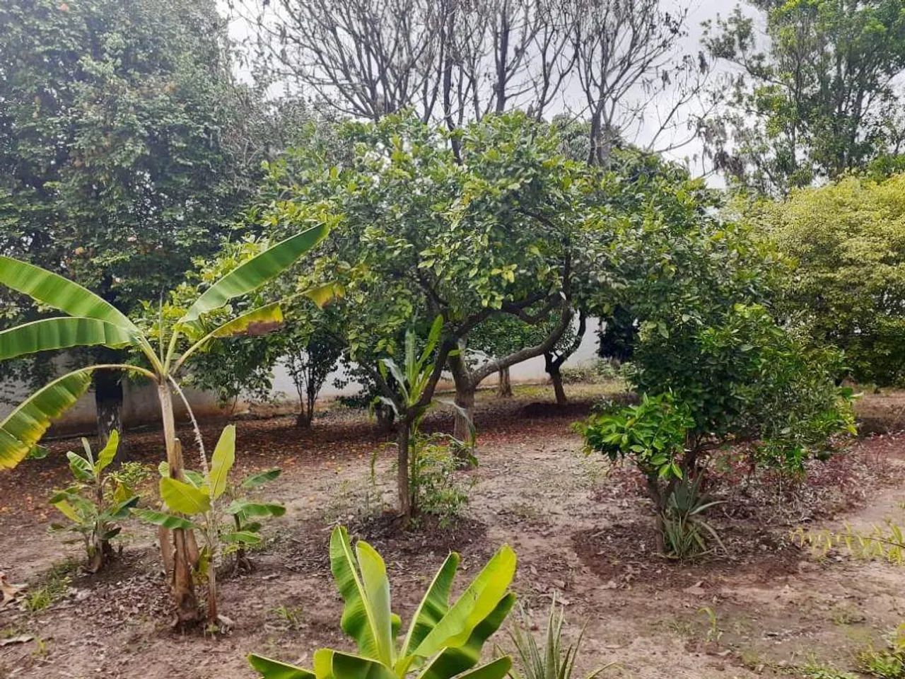 Terreno à venda, Chácaras Antonieta - Limeira/SP - Foto 3