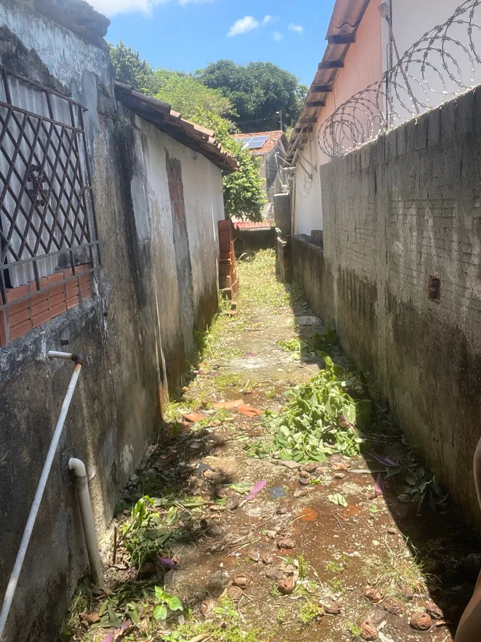 Foto - Recife - Fundão