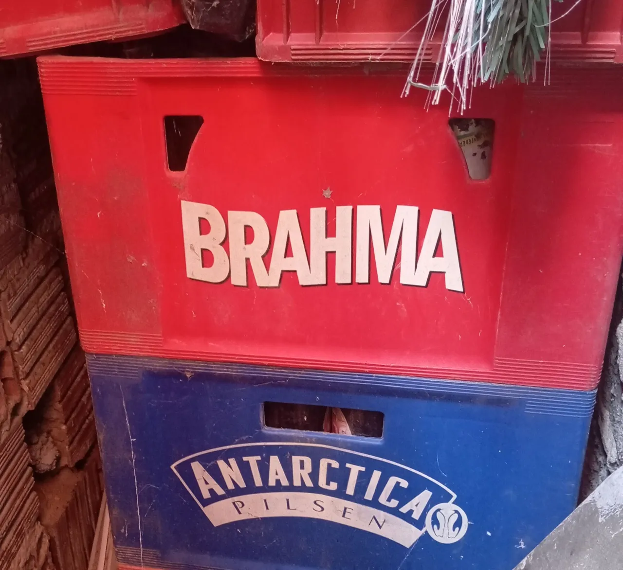 Caixa de Cerveja Brahma e Antarctica