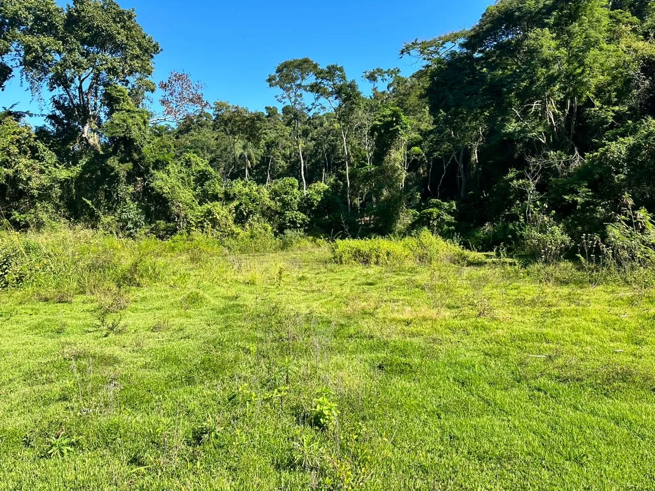 Lote 187 m2 em Piratininga - Estrada Frei Orlando - Niterói - RJ