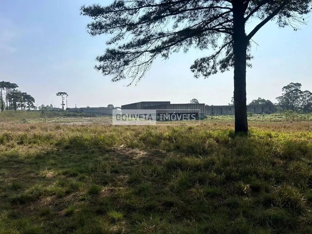 Barracão com 5.000 m², aluguel de R$ 100.000 + Taxas - Alphaville Graciosa, Pinhais (PR) - Foto 3