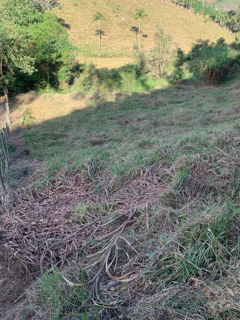 Lote em Alto Paraju - Foto 4