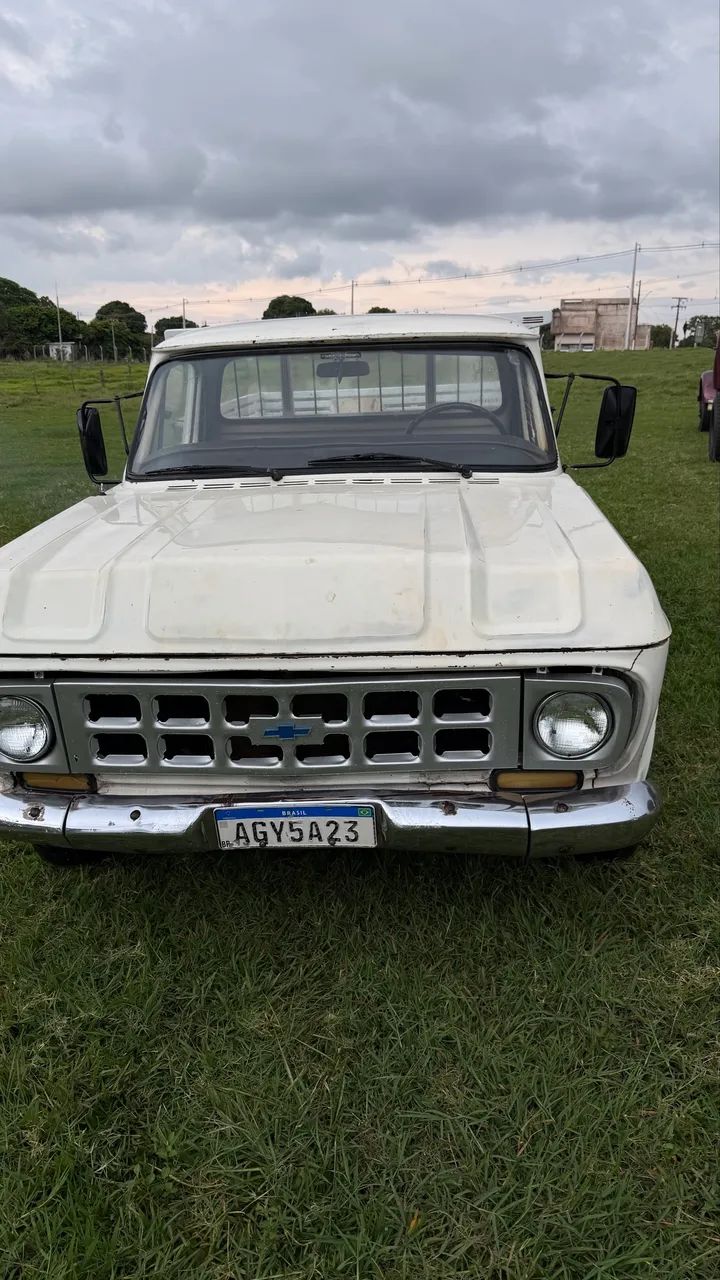 Chevrolet D-10 Diesel 1984
