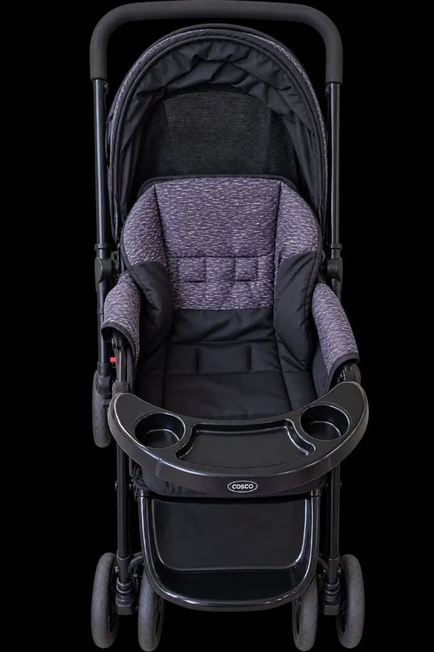 Carinho de bebê com bebe conforto 