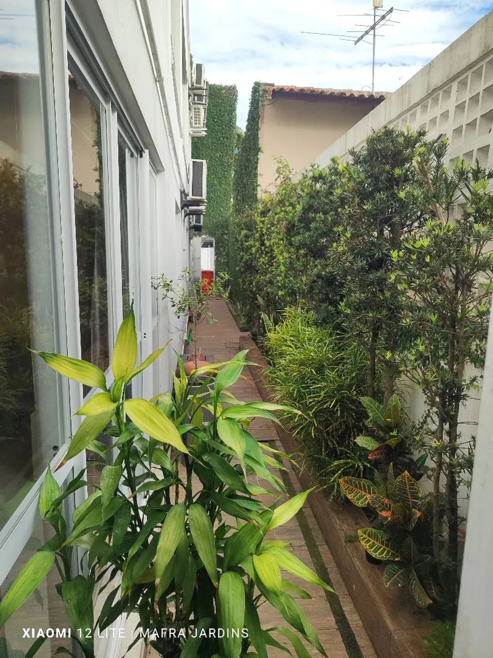 Jardinagem e paisagismo atendemos toda grande Florianópolis  - Foto 5