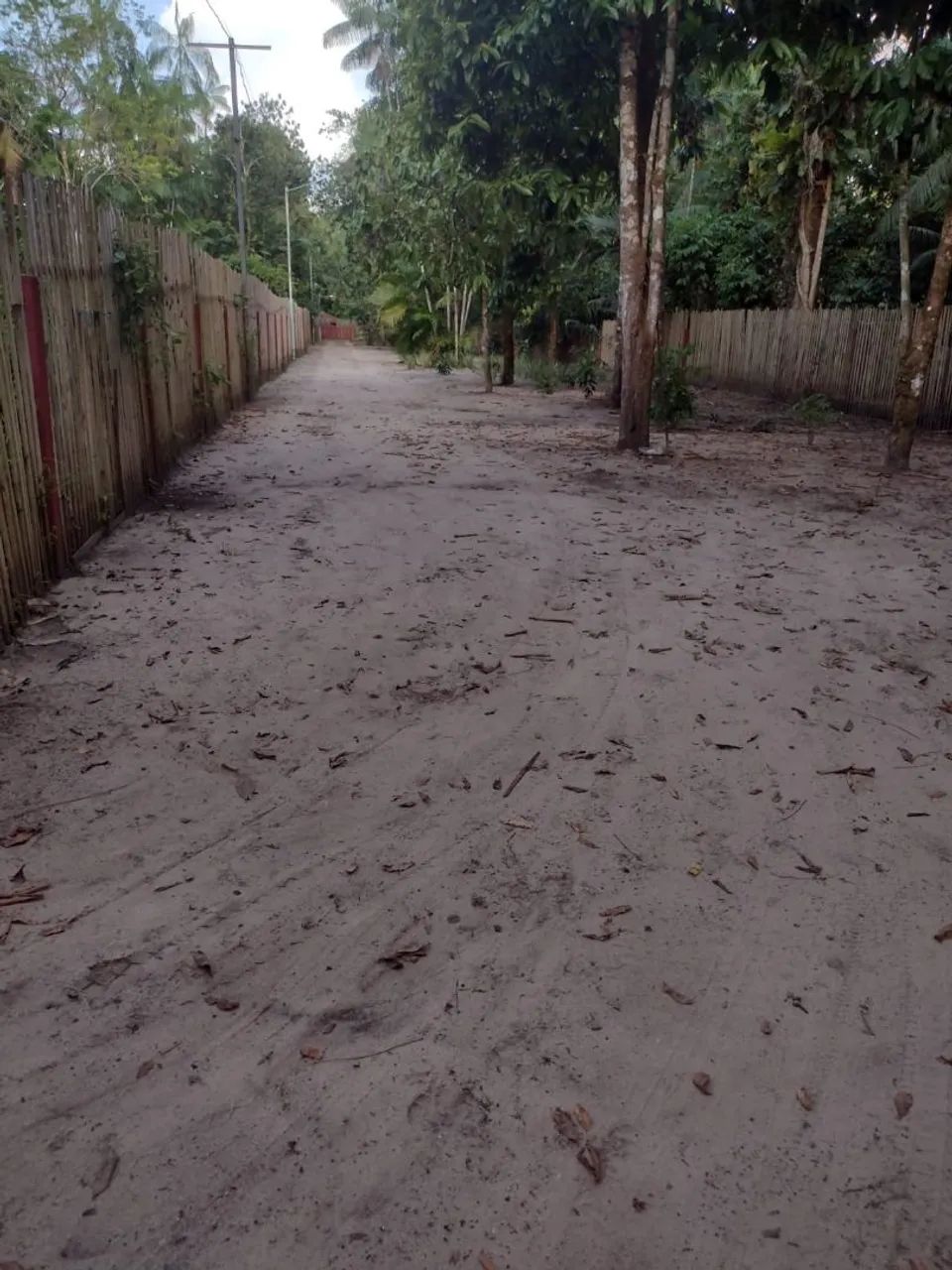 Sitio por R$ 180.000 ( Cento e oitenta mil reais) - Foto 4