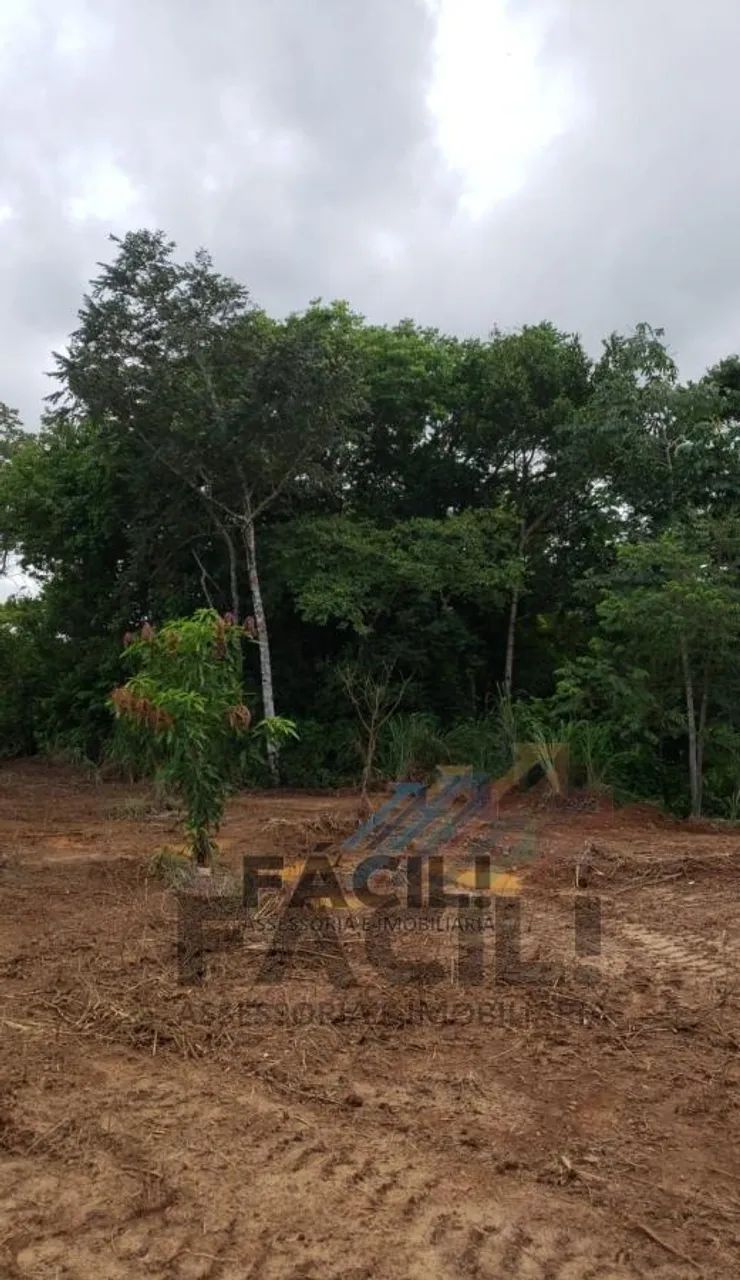 Chácara 44.000m² | Escriturada | Córrego | A 4km da JK - Foto 4