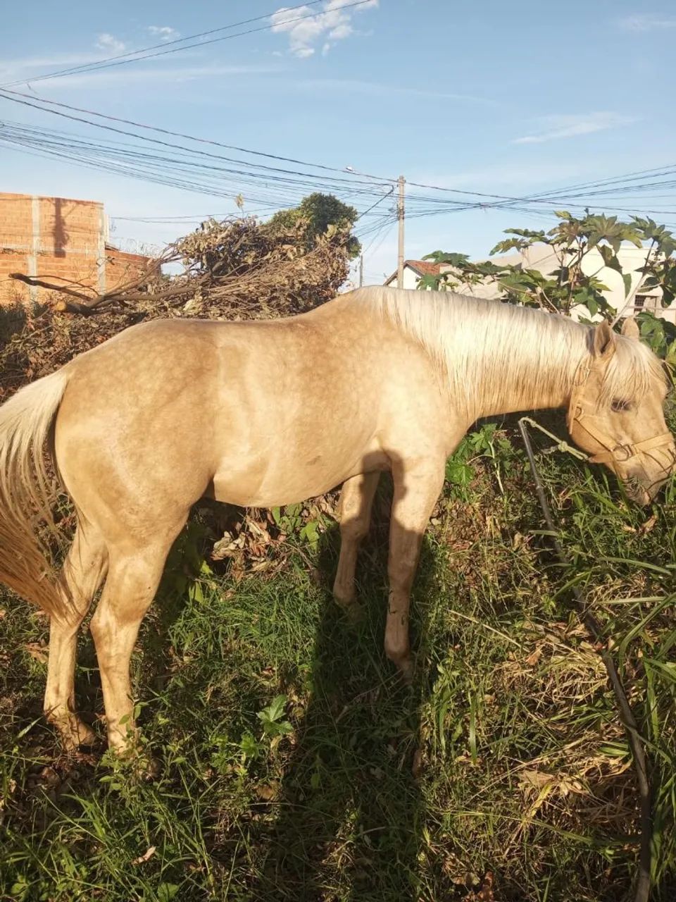 Valor 11.000 - Foto 5