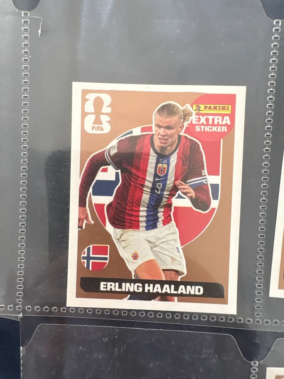 Einling Haaland bronze legend 2026