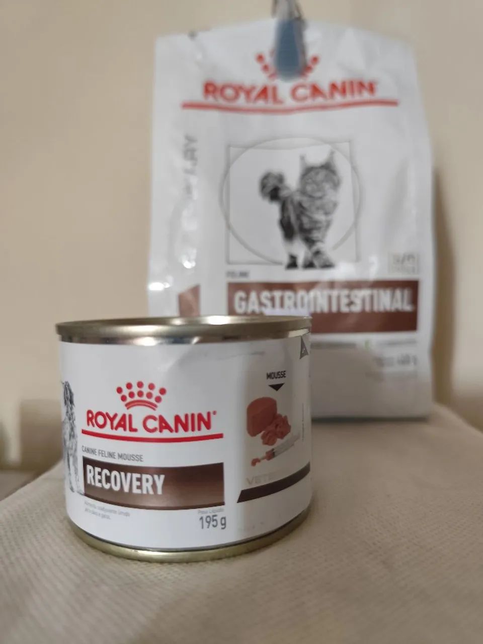 Ração + Lata Gastrointestinal para Gatos