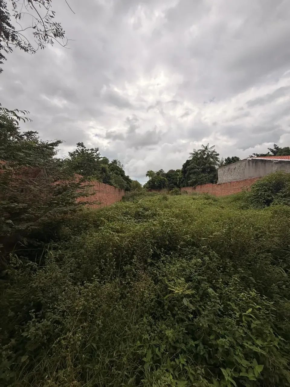 Vendo terreno no Itapiraco murado - Foto 5
