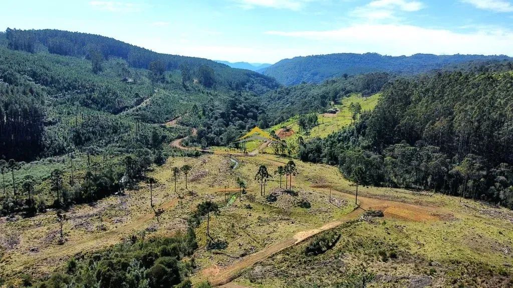 Terreno com 59,6 hectares em Rio Rufino - Foto 5