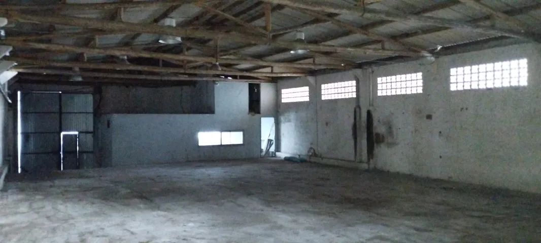 Galpão de 220m² no Saco Grande - Foto 4