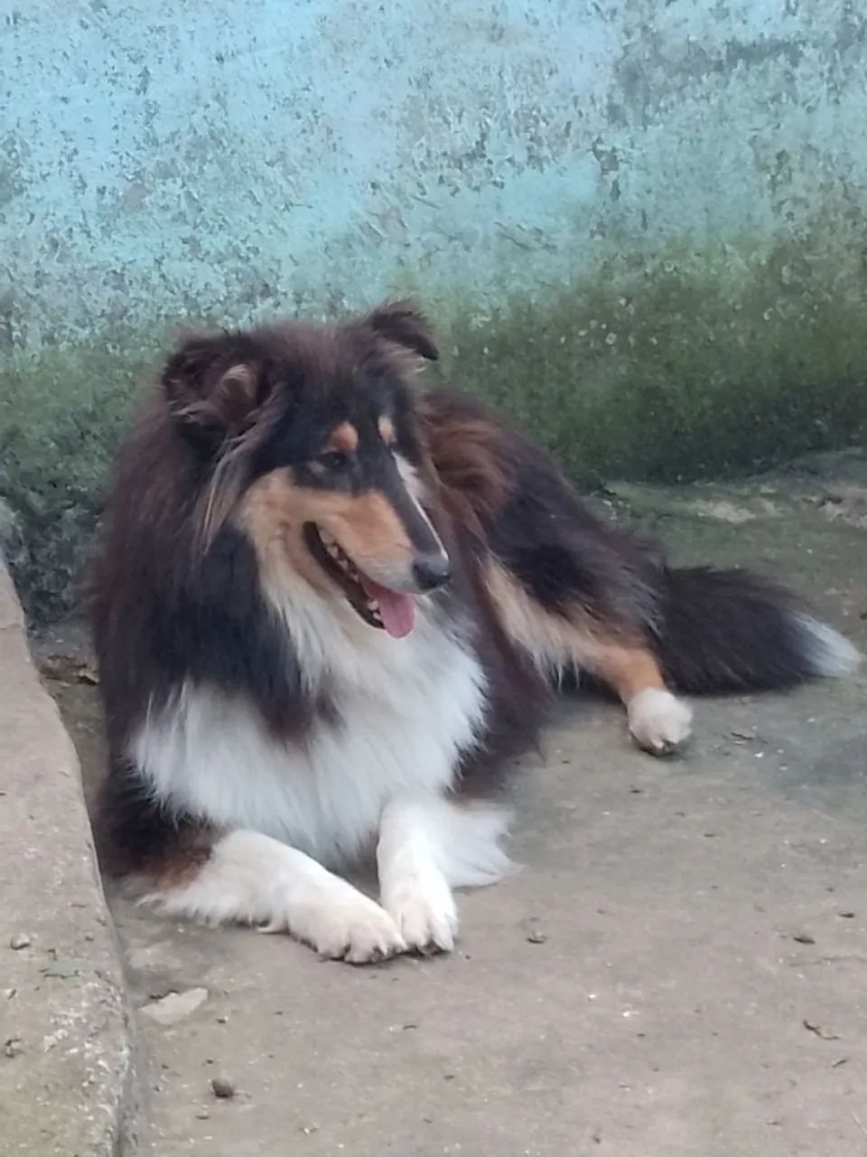 Venda  - Foto 4