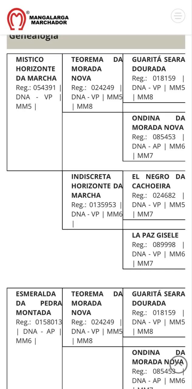 POTRA REGISTRADA- MARCHA BATIDA  - Foto 2